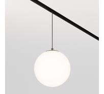 Трековый подвесной светильник MAYTONI luna exility 3000-4000k 5вт 360 dim dali TR039-4-5WTW-DD-B