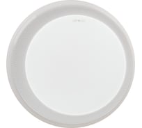 Потолочный светильник Eurosvet 40013 1 LED белый a040559