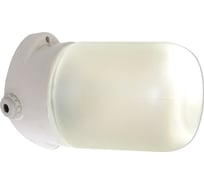 Светильник Элетех Линда наклонный 110 НББ 19-60-005 1005050069