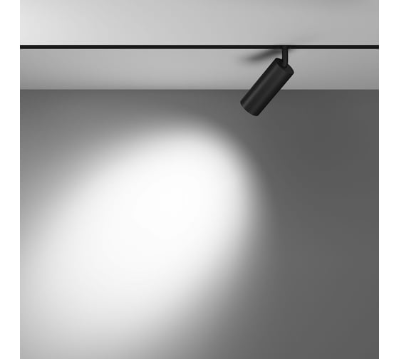 Трековый светильник MAYTONI focus led exility 3000-6000k 12вт 36 dim dali TR032-4-12WTW-S-DD-B