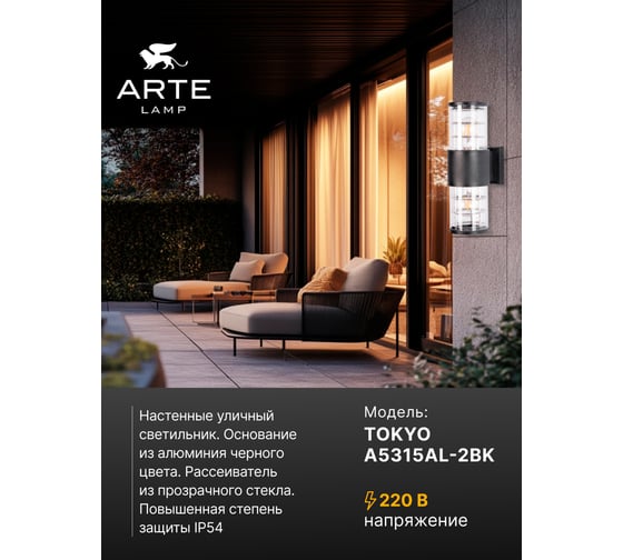 Уличный настенный светильник ARTE LAMP TOKYO A5315AL-2BK