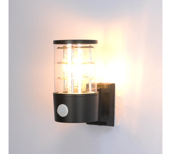 Уличный настенный светильник ARTE LAMP TOKYO A5316AL-1BK