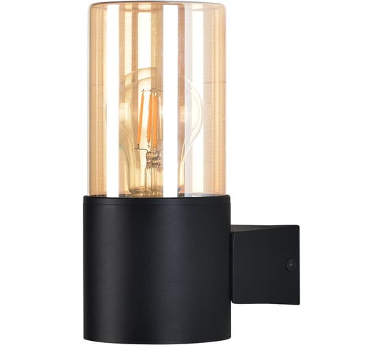 Уличный настенный светильник ARTE LAMP SEGINUS A6515AL-1BK