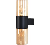 Уличный настенный светильник ARTE LAMP SEGINUS A6515AL-2BK