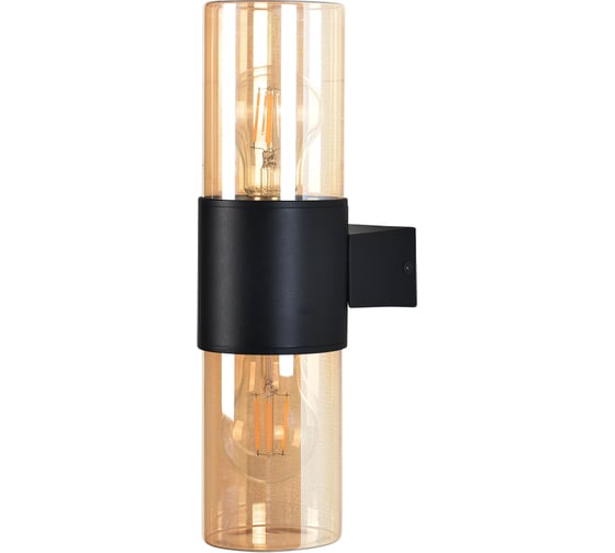 Уличный настенный светильник ARTE LAMP SEGINUS A6515AL-2BK