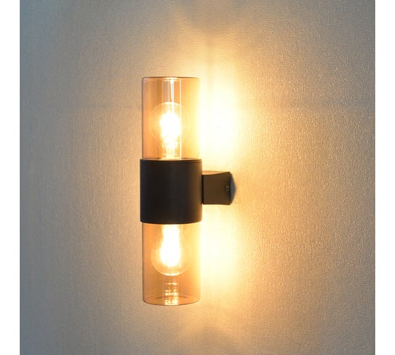Уличный настенный светильник ARTE LAMP SEGINUS A6515AL-2BK