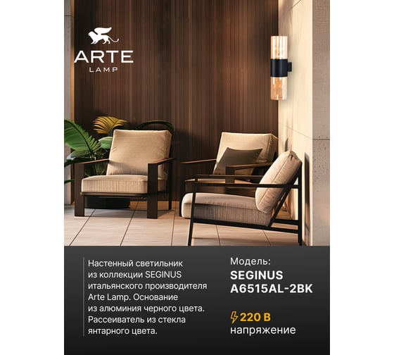 Уличный настенный светильник ARTE LAMP SEGINUS A6515AL-2BK