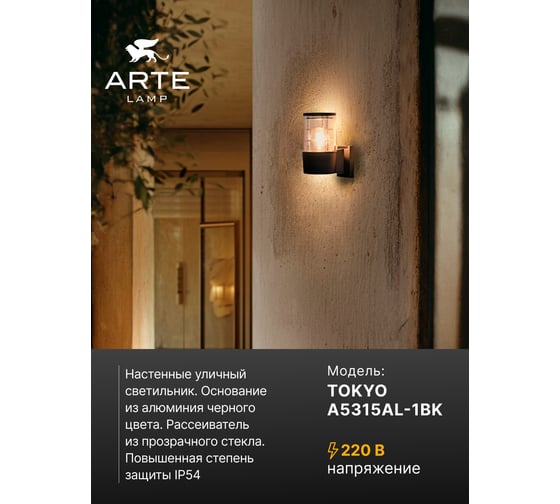 Уличный настенный светильник ARTE LAMP TOKYO A5315AL-1BK