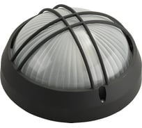 Уличный светильник Светозар Орбита влагозащищенный цвет черный 100 Вт SV-57313-B