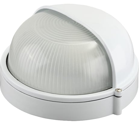 Уличный светильник Светозар влагозащищенный с верхним защитным кожухом круг цвет белый 100 Вт SV-57263-W