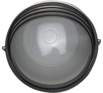 Уличный светильник Светозар влагозащищенный с верхним декоративным кожухом цвет черный 100 Вт SV-57273-B