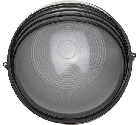 Уличный светильник Светозар влагозащищенный с верхним декоративным кожухом цвет черный 100 Вт SV-57273-B