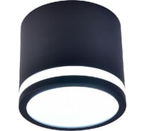 Накладной светильник F-promo festum 4212-1C