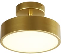 Потолочный светильник F-promo atma 3059-2P