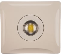 Светодиодный прожектор Uniel ULF-F11-50W/NW IP65 180-240В WHITE UL-00001045