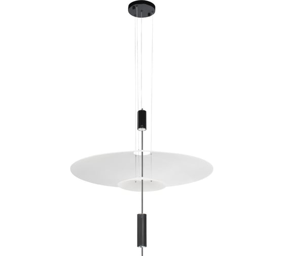 Подвесной светильник LOFT IT Skylar 10244/A Black