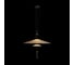 Подвесной светильник LOFT IT Skylar 10244/A Black 2