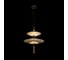 Подвесной светильник LOFT IT Skylar 10244/B Brass 4