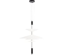 Подвесной светильник LOFT IT Skylar 10244/C Black
