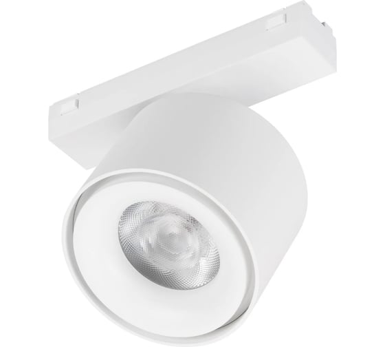 Светильник Arlight MAG-VIBE-POINT-R75-10W Day4000 1шт 044467 1