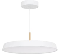 Светильник Arlight SP-ELEGANT-R500-37W Warm3000 1шт 033925(1)