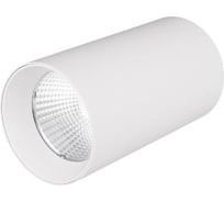 Светильник Arlight накладной SP-POLO-R85-1-15W Warm White 40deg , IP20 Металл, 3 1шт 022938