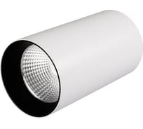 Светильник Arlight накладной SP-POLO-R85-1-15W Day White 40deg , IP20 Металл, 3 1шт 022939