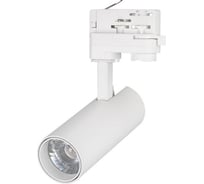 Светильник Arlight LGD-GERA-4TR-R55-10W Day4000 1шт 033123