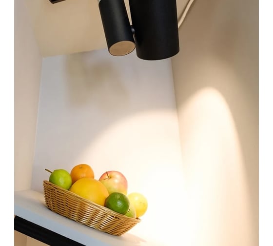 Светильник Arlight LGD-SHOP-4TR-R100-40W Warm SP3000-Fruit 1шт 026292