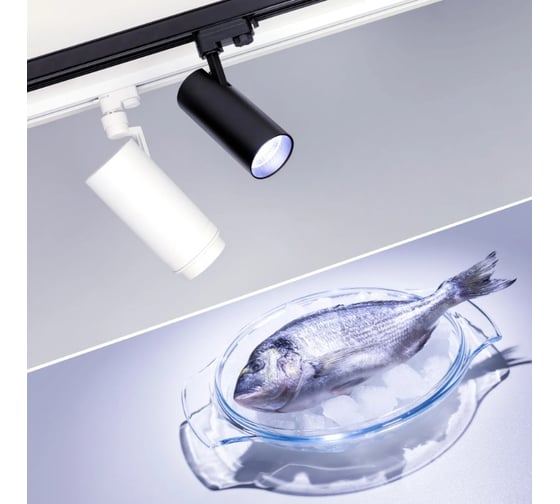 Светильник Arlight LGD-ZEUS-4TR-R100-30W Cool SP7500-Fish, IP20 Металл, 1шт 029998