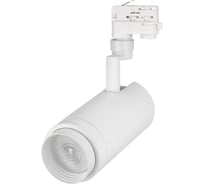 Светильник Arlight LGD-ZEUS-TRUECOLOR-4TR-R100-30W Day4000, CRI98, IP20, Металл, 1шт 031427