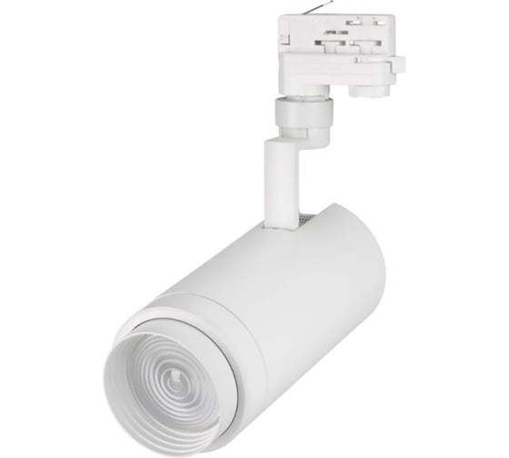 Светильник Arlight LGD-ZEUS-4TR-R100-30W Warm SP3000-Fruit, IP20 Металл, 1шт 030000