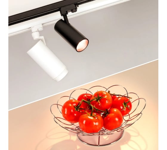 Светильник Arlight LGD-ZEUS-4TR-R100-30W Warm SP3000-Fruit, IP20 Металл, 1шт 030000
