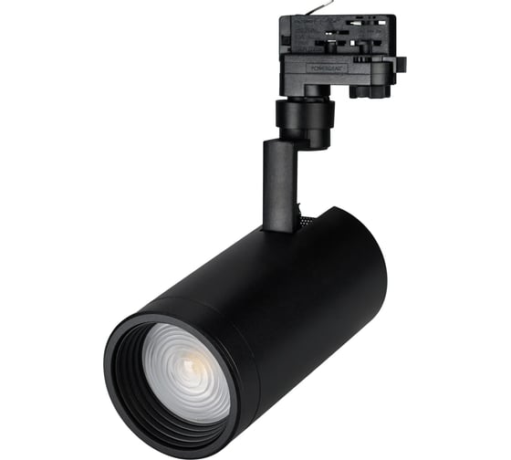 Светильник Arlight LGD-ZEUS-TRUECOLOR-4TR-R100-30W Warm3000, CRI98 , IP20, Металл, 1шт 031429