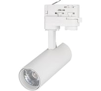 Светильник Arlight LGD-GERA-4TR-R55-10W Warm3000 1шт 033126
