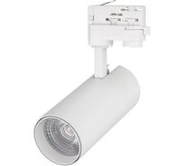 Светильник Arlight LGD-GERA-4TR-R74-20W Cool SP7500-Fish 1шт 032460