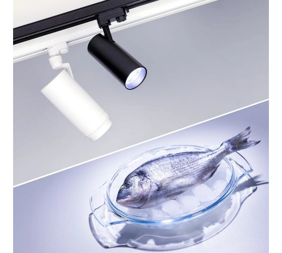 Светильник Arlight LGD-GERA-4TR-R74-20W Cool SP7500-Fish 1шт 032460