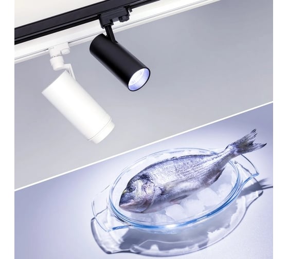 Светильник Arlight LGD-GERA-4TR-R74-20W Cool SP7500-Fish 1шт 032467