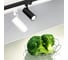 Светильник Arlight LGD-GERA-4TR-R74-20W Day SP5000-Veg 1шт 032461 2