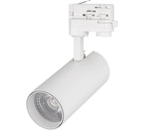 Светильник Arlight LGD-GERA-4TR-R74-20W Day4000 1шт 036086