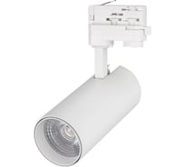 Светильник Arlight LGD-GERA-4TR-R74-20W Warm SP2900-Meat 1шт 032463