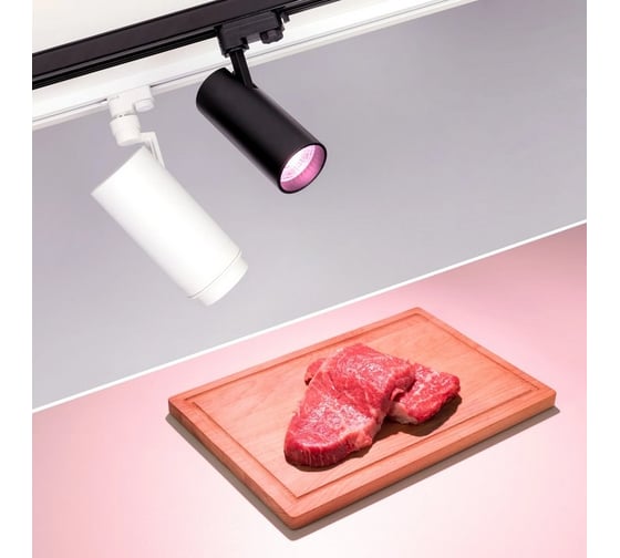 Светильник Arlight LGD-GERA-4TR-R74-20W Warm SP2900-Meat 1шт 032470