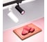 Светильник Arlight LGD-GERA-4TR-R74-20W Warm SP2900-Meat 1шт 032470 2