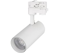 Светильник Arlight LGD-GERA-4TR-R74-20W Warm SP3000-Fruit 1шт 032462