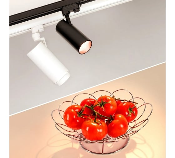 Светильник Arlight LGD-GERA-4TR-R74-20W Warm SP3000-Fruit 1шт 032462