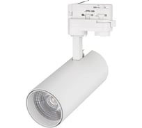 Светильник Arlight LGD-GERA-4TR-R74-20W Warm3000 1шт 036087