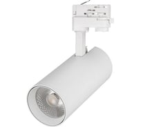 Светильник Arlight LGD-GERA-4TR-R90-30W Cool SP7500-Fish 1шт 032472
