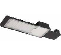 Уличный светильник ЭРА SPP502050K100 100Вт 5000К 10000Лм IP65 КСС Ш 48мм Б0043663