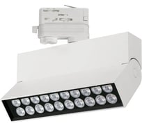 Светильник Arlight LGD-LOFT-TRACK-4TR-S170-10W Day4000 1шт 034496