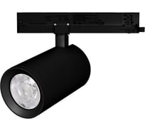Светильник Arlight LGD-NIKA-4TR-R100-40W Day4000 1шт 031178